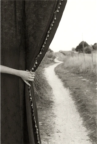Imagen de «El camino»